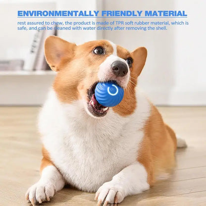 Dog Toy Ball Electronic Interactive Pet Toy Ball Electronic Interactive Pet Products Rechargeable Smart Moving Gravity Jumping